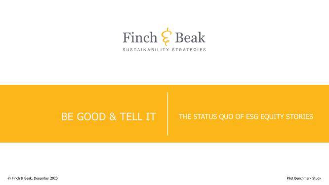 Finch & Beak - ESG Equity Stories Pilot Benchmark Report 2020.pdf